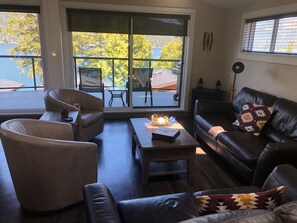 TV, fireplace, DVD player, video library