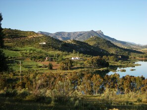 Eksteriør