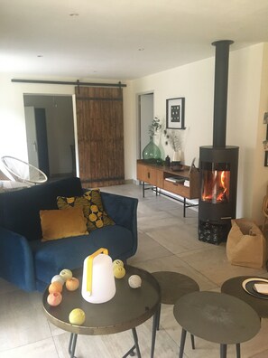 Fireplace, ping pong, books