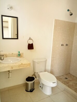 Ducha, toallas, jabón y papel higiénico