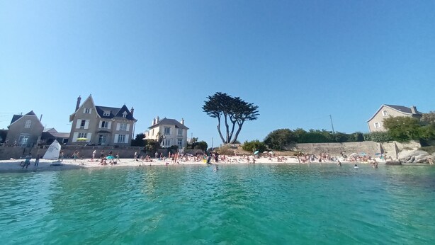 Una spiaggia con acque cristalline turchesi, una riva sabbiosa e un grande albero al centro.