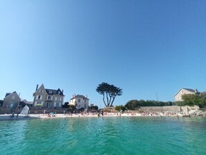 Una playa con agua turquesa cristalina, una orilla arenosa y un árbol grande en el centro.