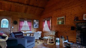 TV, fireplace, DVD player, books