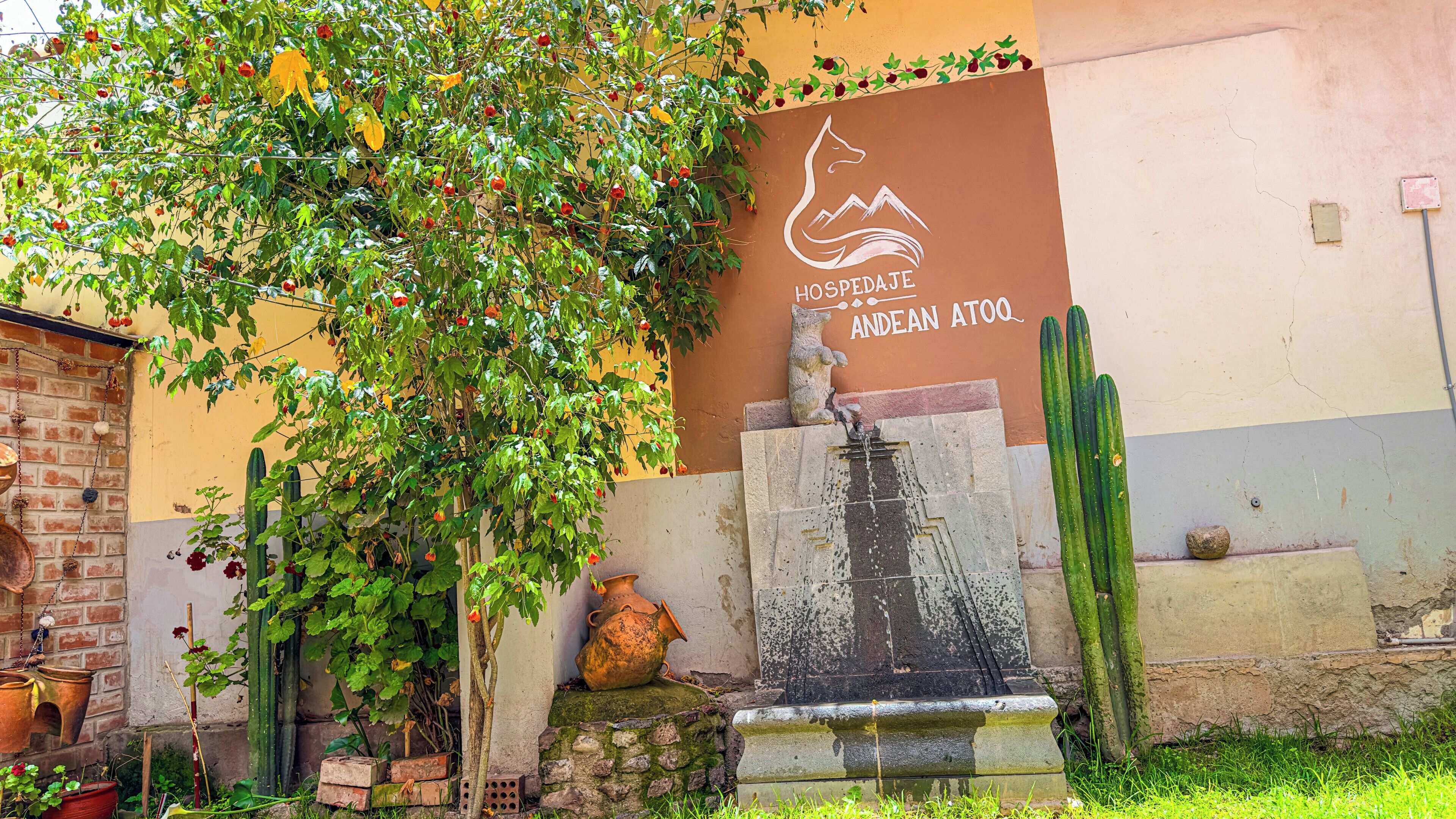 Foto - Andean Atoq Hostel