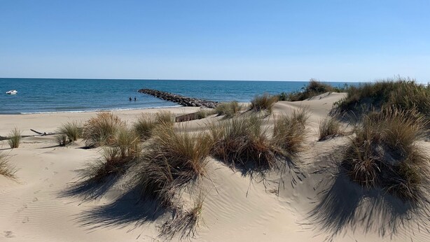 A sandy beach with dunes and a rocky breakwater. - Spacious T3 with large terrace SEA VIEW (Le Grau-du-Roi)