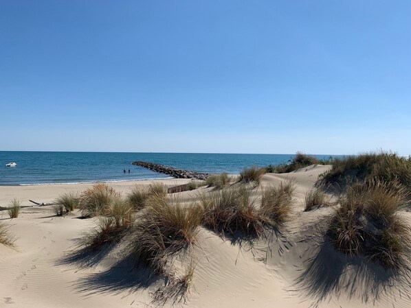 On the beach, sun-loungers