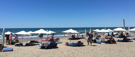 Plage, chaises longues