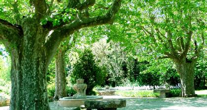 Housing overlooking the illuminated fountain and the hundred-year-old plane tree lane