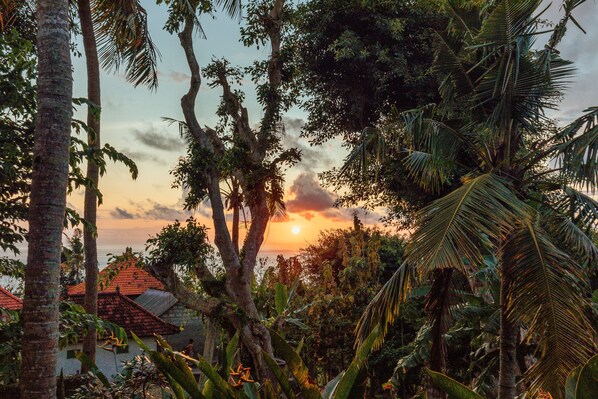 Un paisaje tropical con palmeras, un atardecer y un edificio de techo rojo.