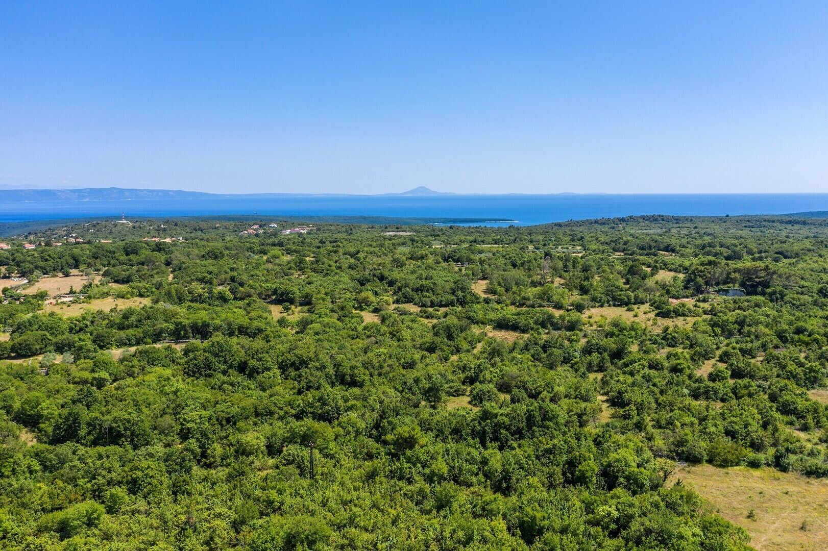 A dense forest with a clear view of the sea and distant mountains.