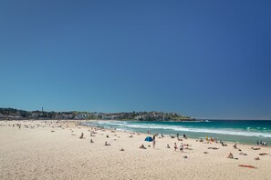 Beach - The Clovelly Hotel (Clovelly)