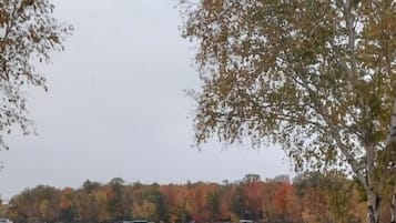 Condo, 1 Bedroom | Property grounds
