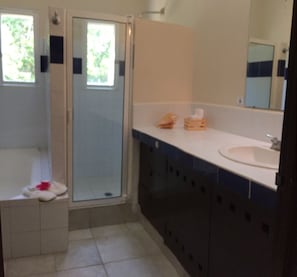 Bathroom features a shower, sink, and mirror, with a towel nearby.