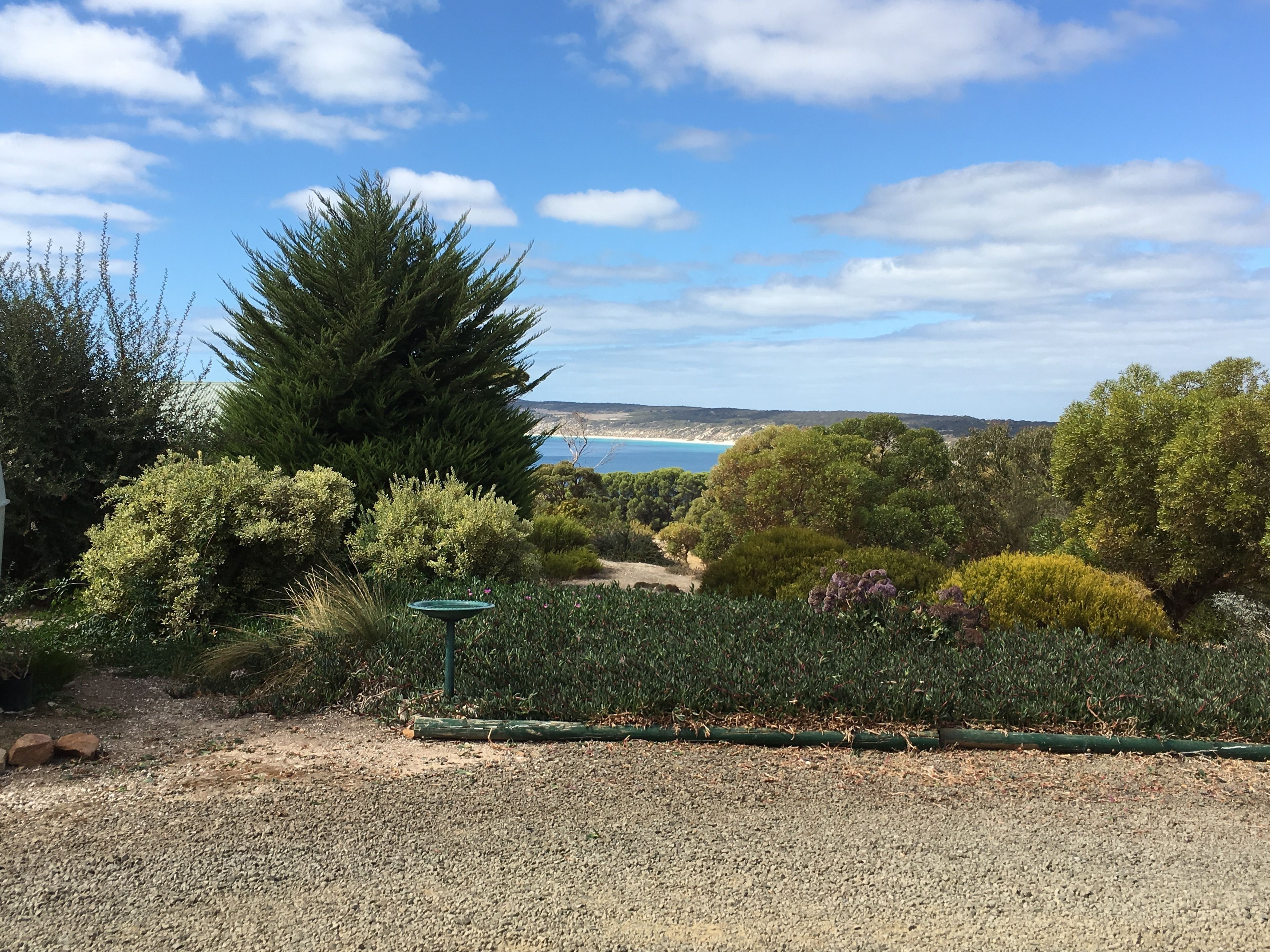A garden with a gravel path, various shrubs, and a view of the sea in the background.