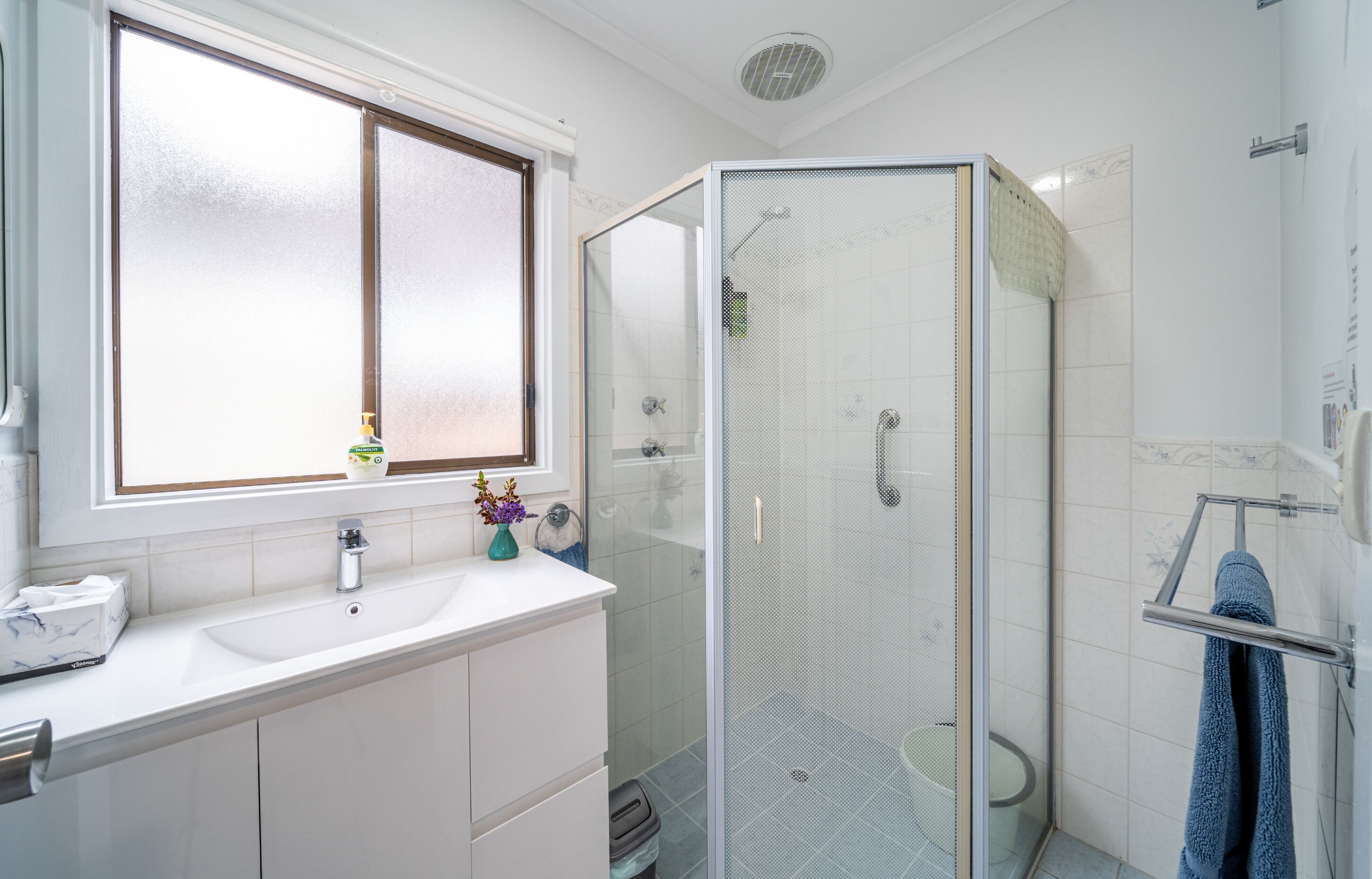 Une salle de bain moderne avec une douche à parois de verre, un lavabo blanc et une fenêtre en verre dépoli.