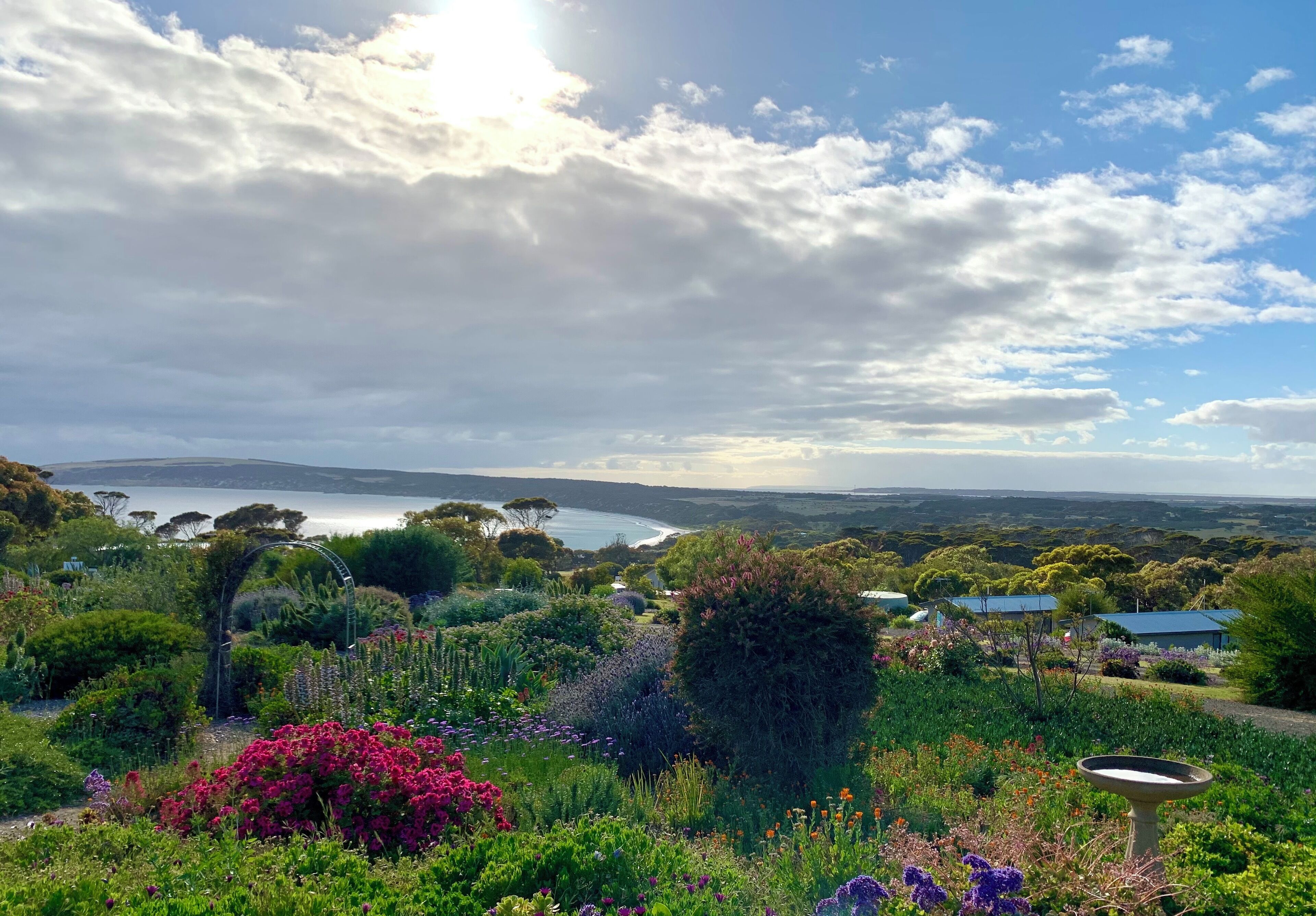 Un jardín con diversas plantas y flores, un bebedero para pájaros, y vistas al océano y colinas en el fondo.