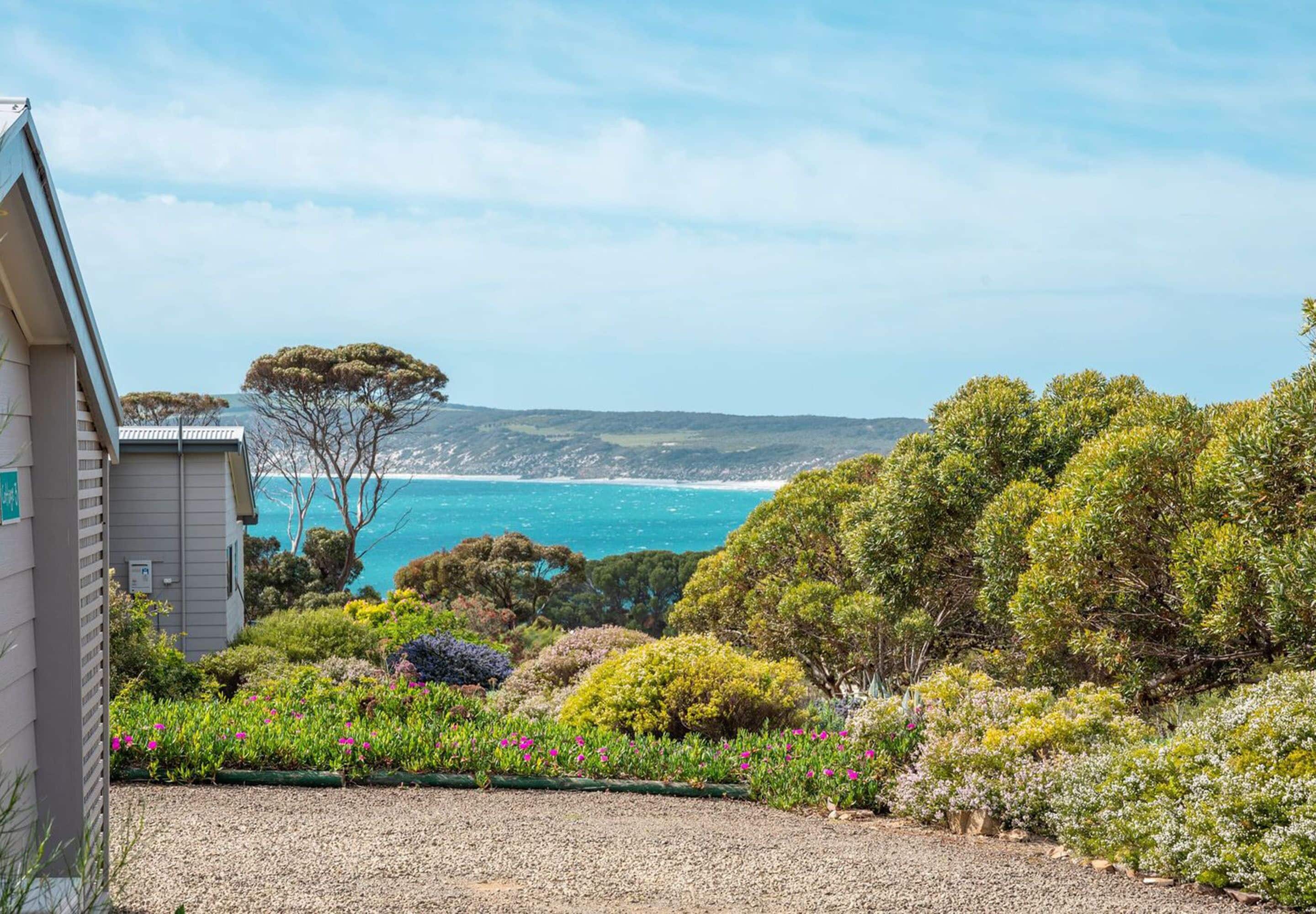 A coastal garden with a variety of plants and trees, a gravel path, and a view of the ocean.