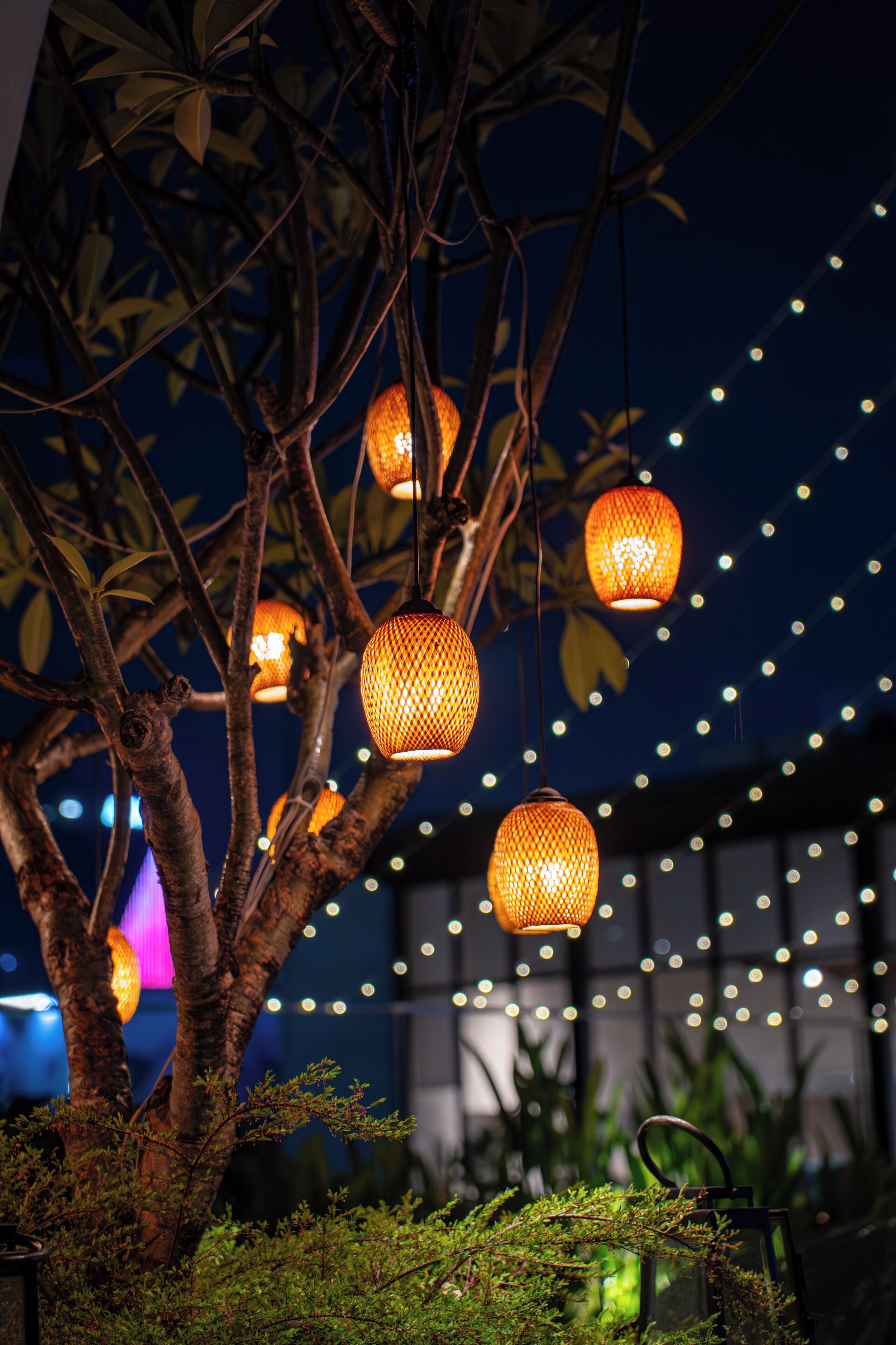 A tree with hanging lanterns and string lights against a dark background.