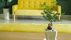 Habitación estándar doble | Zona de estar | Una televisión de pantalla plana