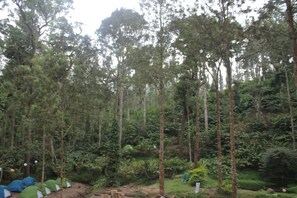 Tienda de campaña básica, vista a la montaña | Vista a la montaña