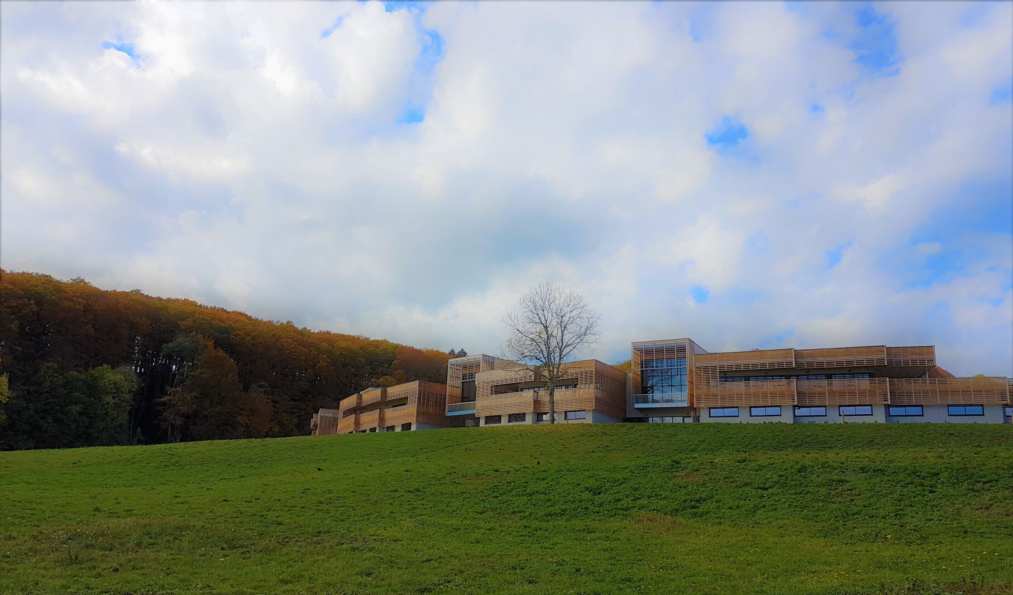 A modern building with a flat roof and large windows, situated on a grassy hill with a backdrop of trees and a partly cloudy sky.