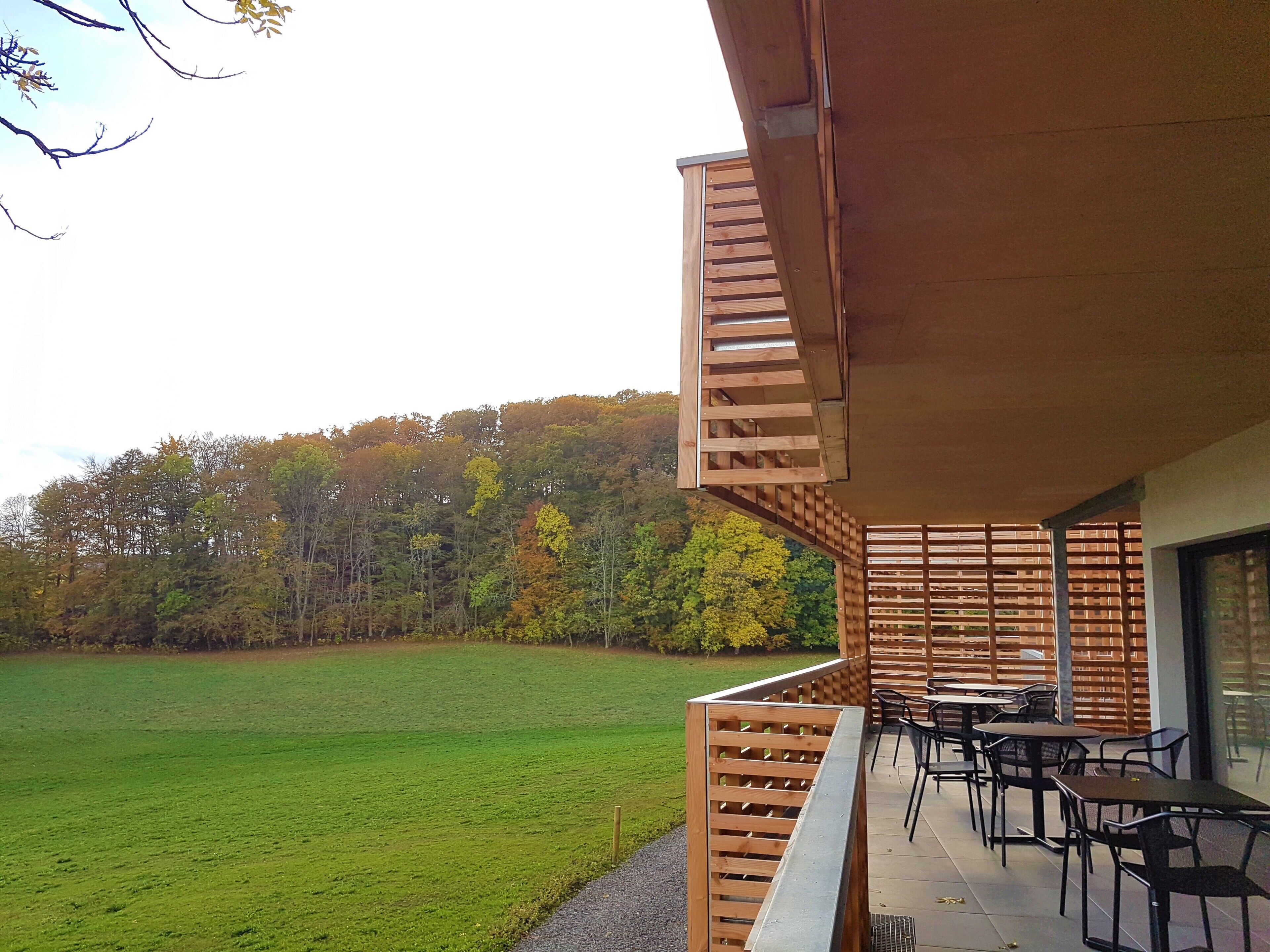 Una terraza de madera con mobiliario exterior y vistas a un campo cubierto de hierba y árboles.