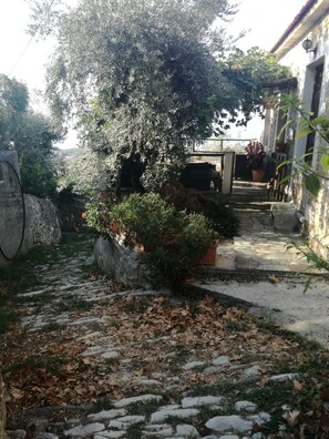 Terrain de l’hébergement 