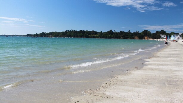 A beach with a sandy shore, calm water, and a distant tree line. - 7 Gîtes in 100 acres with heated pool. Near Pont Aven, Concarneau, beaches 15km (Bretagne)
