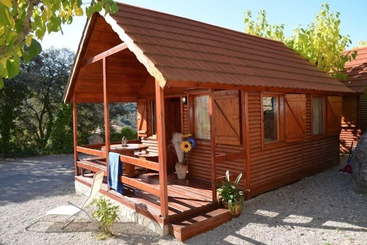 A wooden cabin with a porch, large windows, and a gravel driveway.