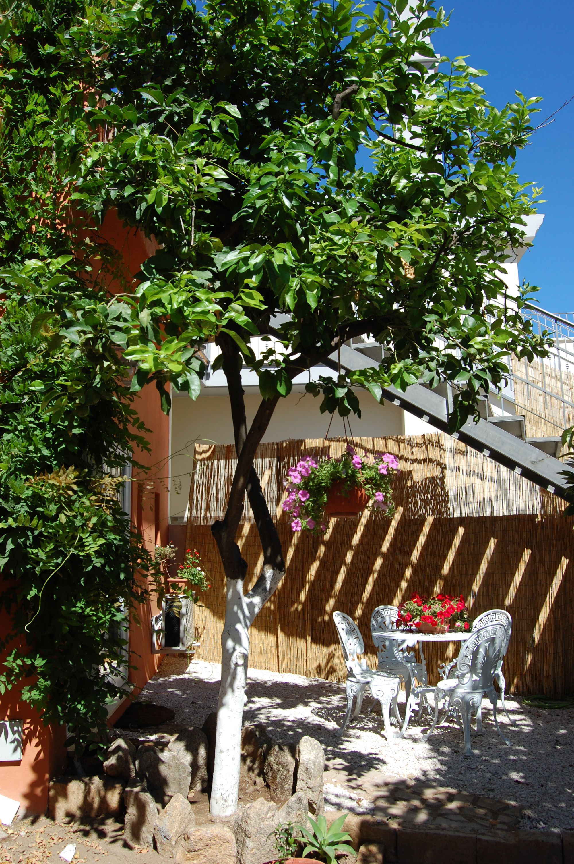 Eine Terrasse mit Tisch und Stühlen, einem hängenden Blumentopf und einem Baum, der Schatten spendet.