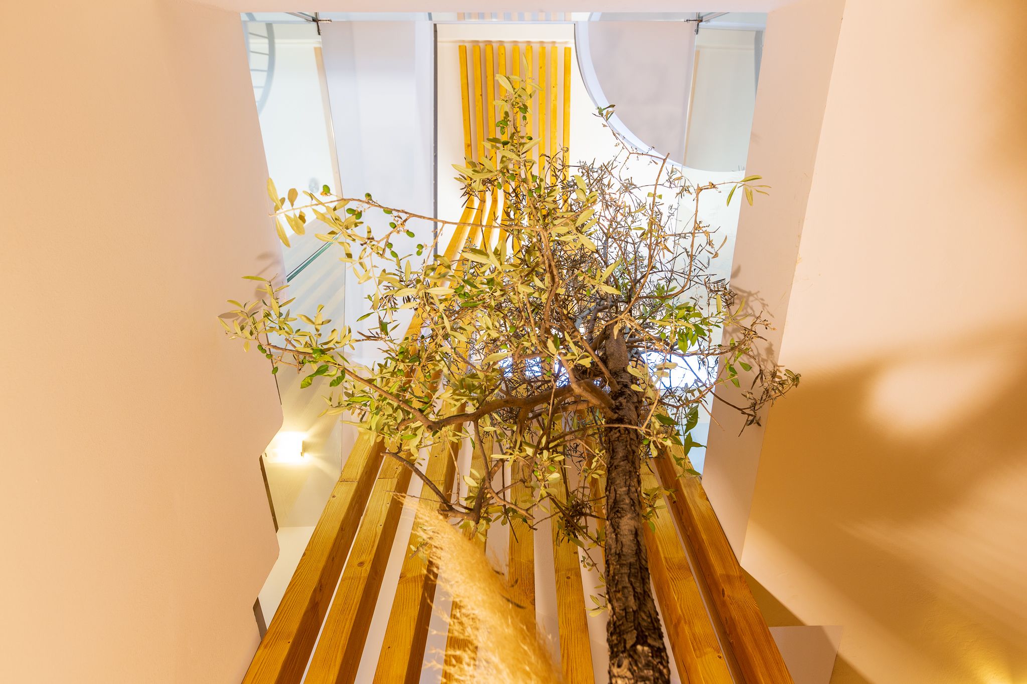Una escalera con barandilla de madera y una planta en la parte superior.