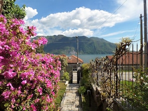 Taman