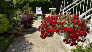 En trädgård med hängande röda blommor, en vit trappa och ett bord med ett dukat bord.