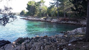A rocky shoreline with clear water and trees. - Apartment Blumen Oase (Malinska-Dubasnica)