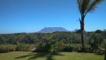 Standard Apartment (Bachelor with view) | Mountain view