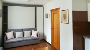 A modern living room with a grey sofa, a wooden door, and a framed picture on the wall. - Lovely studio apartment within walking distance of the center of Chiesa Valmalenco (Chiesa in Valmalenco)