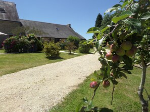 Terrein van de accommodatie