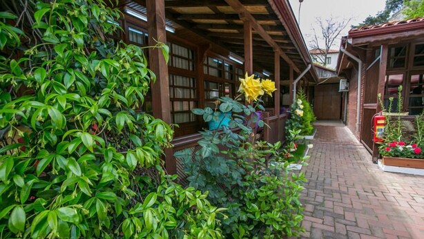 A covered outdoor area with brick flooring, wooden beams, and lush green foliage. - Carsi Pansiyon (Amasra)