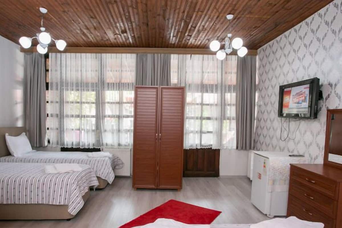 A bedroom with two beds, a wardrobe, a TV, and a small kitchenette.