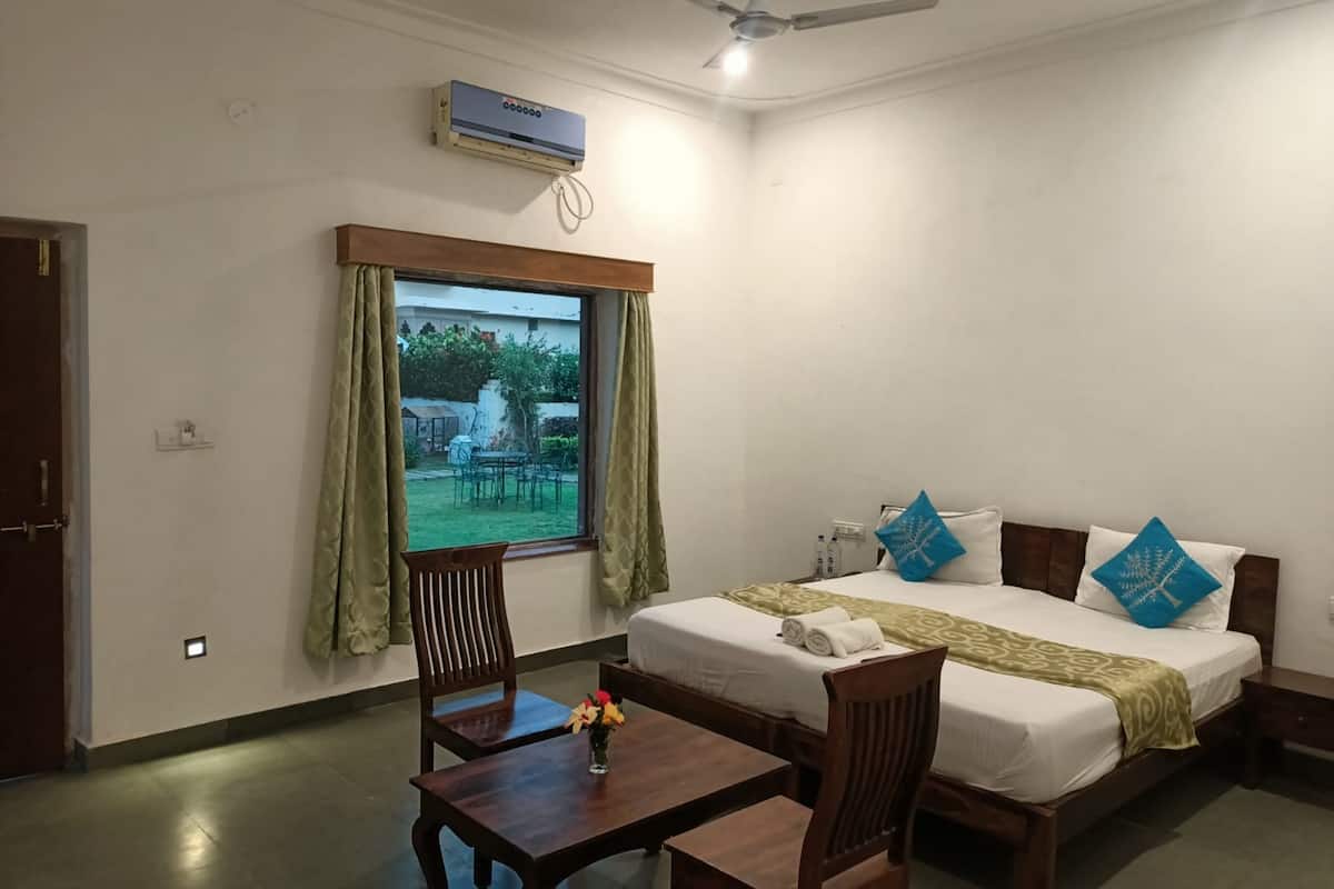 Superior Room | View from room