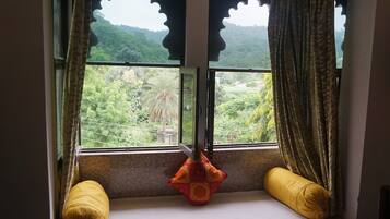 Deluxe Room | View from room
