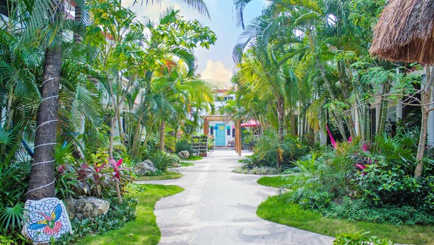 Een pad dat leidt naar een gebouw, omringd door weelderige begroeiing en palmbomen.