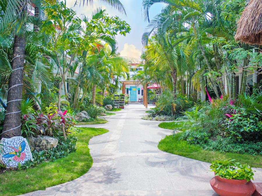 Superior Room, 1 King Bed, Pool View | Exterior