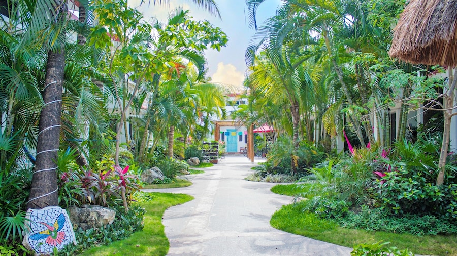 Hotel Villas Colibrí Suites and Bungalows.