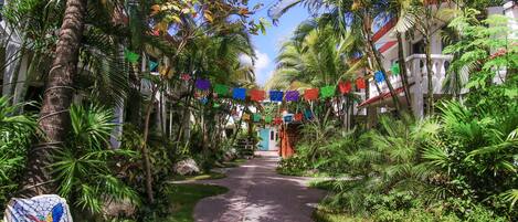A pathway flanked by lush greenery and palm trees, leading to a building with a blue door.