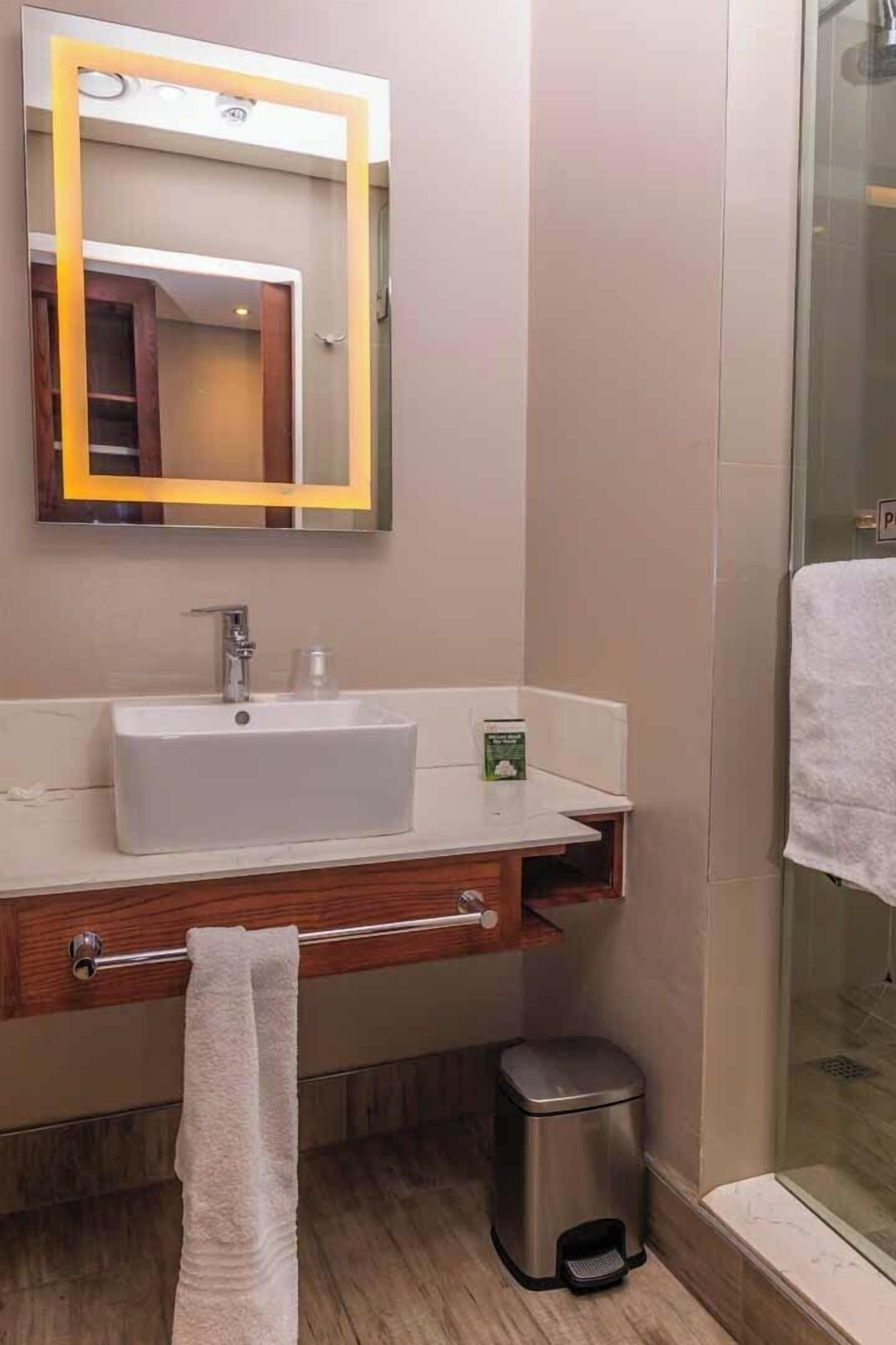standard double room | bathroom | shower, rainfall showerhead, free toiletries, towels