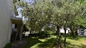 Un quartier résidentiel avec un chemin bordé d’arbres menant à l’entrée d’un immeuble.