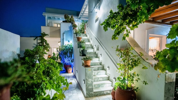 Una escalera estrecha y bien iluminada, con plantas en macetas a ambos lados, que conduce a la entrada de un edificio.