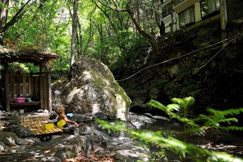 Shima Onsen Chuseikan