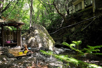 Shima Onsen Chuseikan